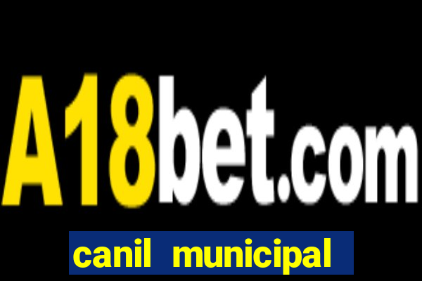 canil municipal porto alegre